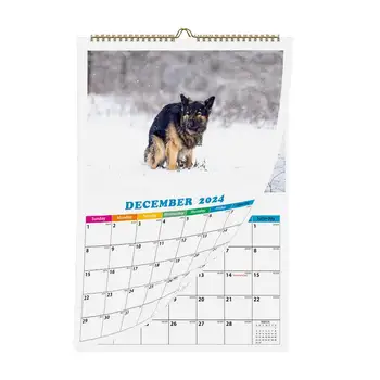 Pes Pooping Kalendářního Roku 2024 Legrační Psí Kalendář Gag Dárky Psi Kadí Do Krásných Míst 2024 Kalendář Psa 2024 Hangable Kalendář
