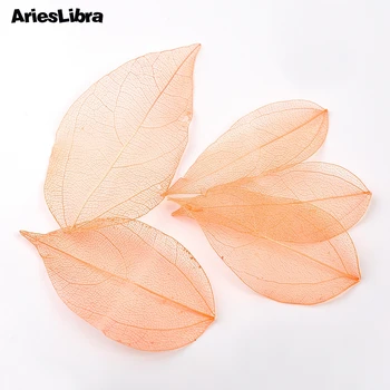 AriesLibra Sušené Listy Nehty Dekorace 6 Barev Přírodní Květ List, Samolepky Pro UV Gel na nehty 3D Nail Art Vzory